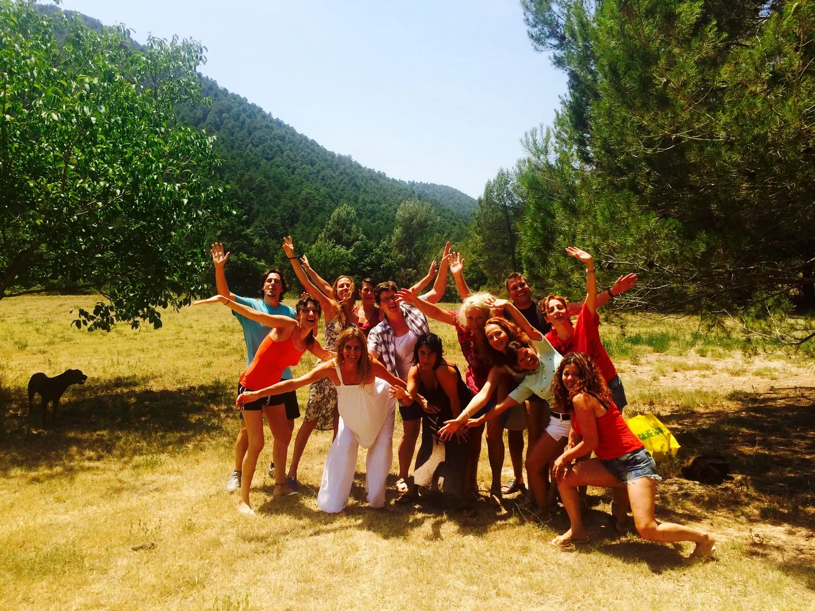 Intensivo 2015-2